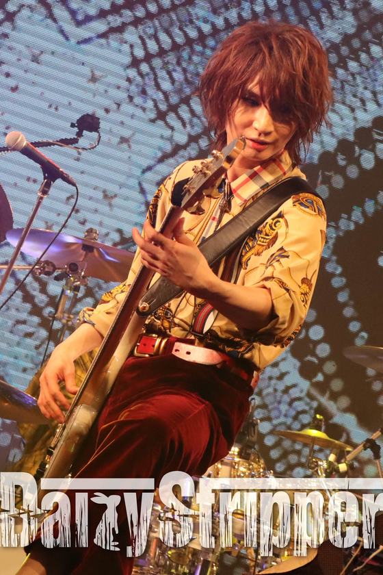 DaizyStripper 待受 vol.532